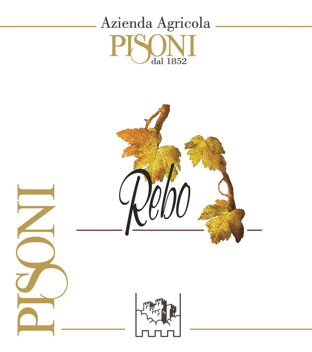 Trentino Alto Adige Rebo Bottle