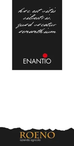 Valdadige Terradeiforti Enantio Bottle