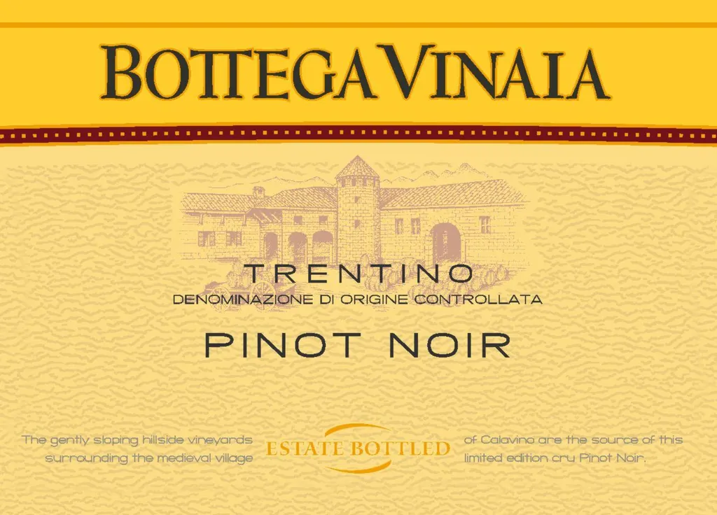 Bottega Vinai Pinot Noir Bottle