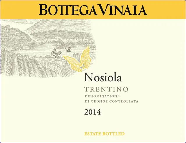 Trentino Bottega Vinai Nosiola Bottle