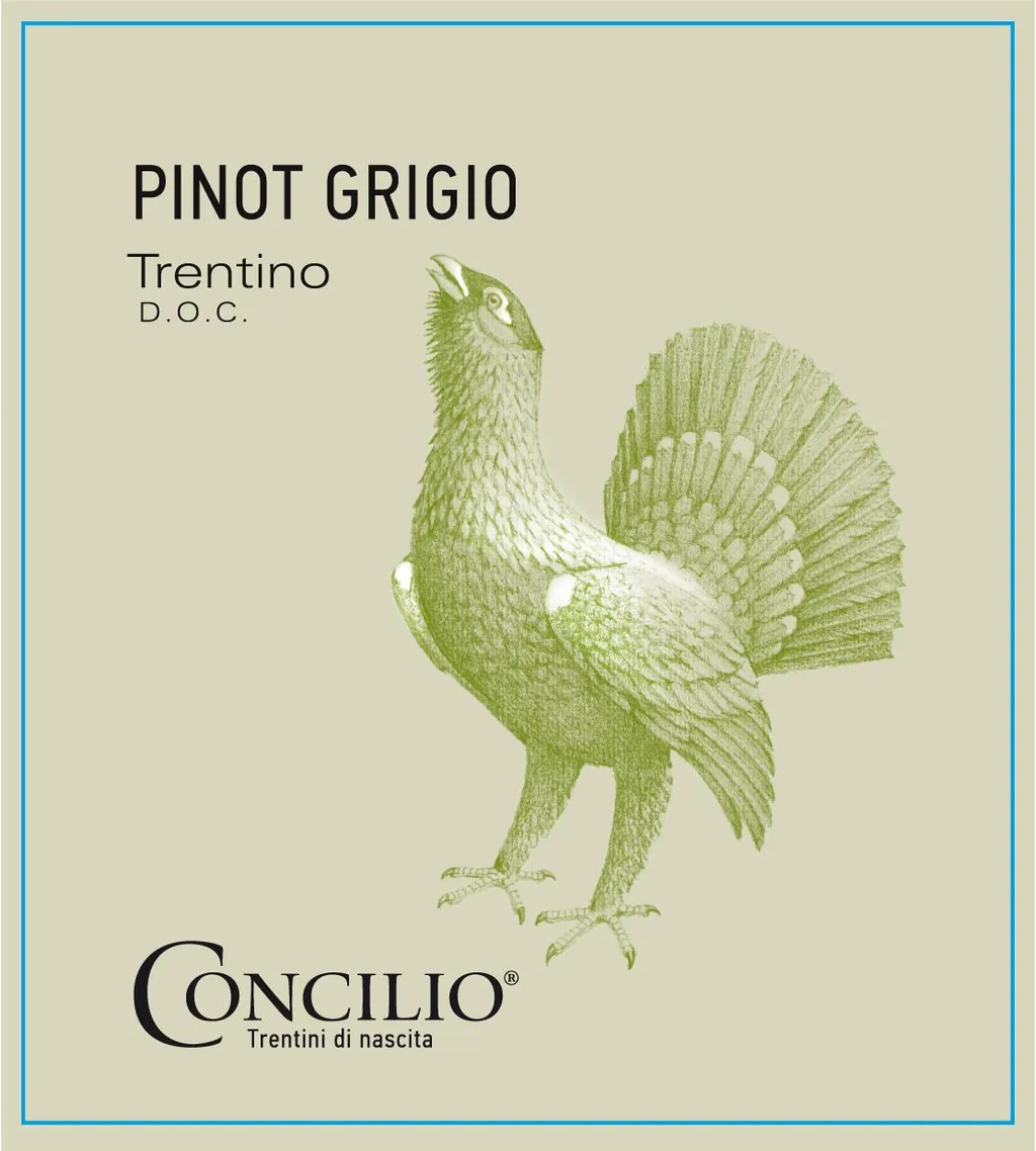 Trentino Pinot Grigio Bottle