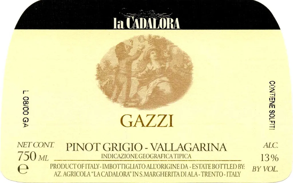 Vallagarina Gazzi Pinot Grigio Bottle