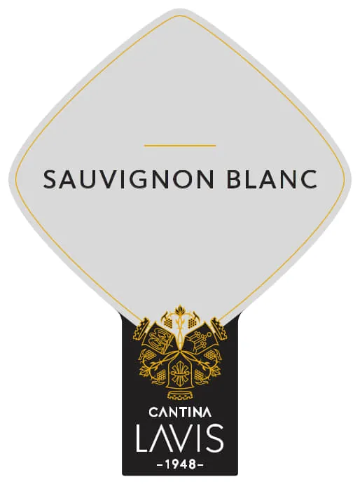 Trentino Sauvignon Blanc Bottle