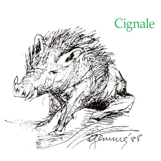 Cignale Bottle