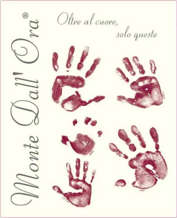 Valpolicella Classico Saseti Bottle