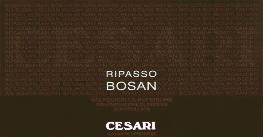 Valpolicella Ripasso Superiore Bosan Bottle
