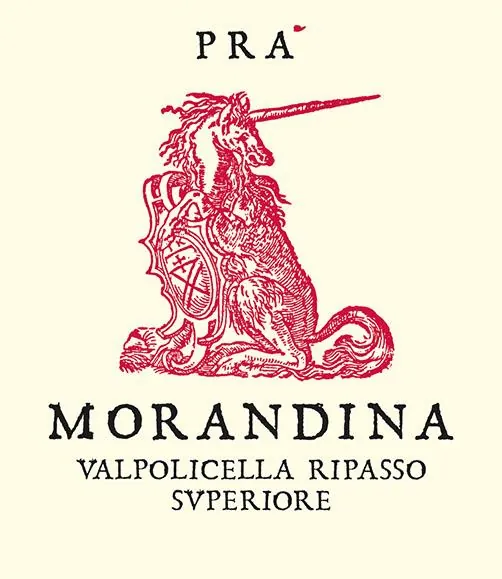 Morandina Valpolicella Ripasso Superiore Bottle