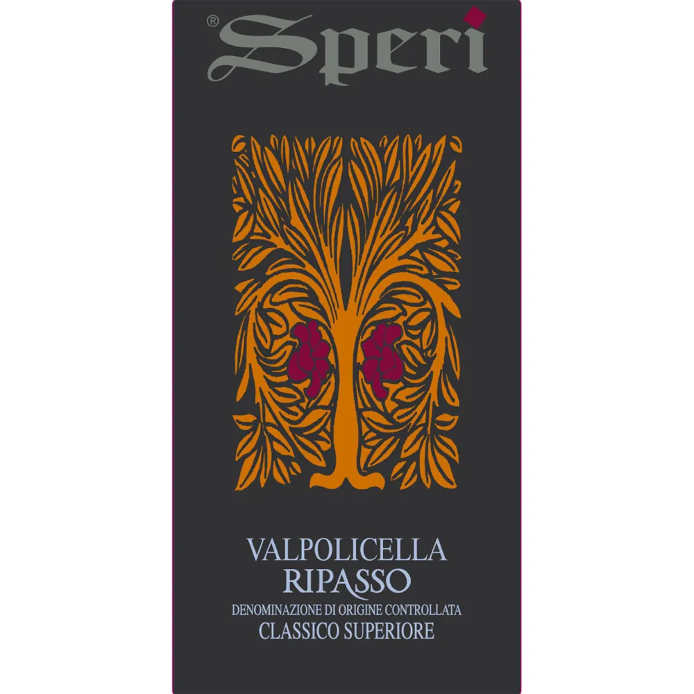 Valpolicella Classico Superiore Ripasso Bottle