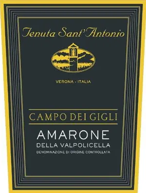 Campo dei Gigli Amarone della Valpolicella Bottle