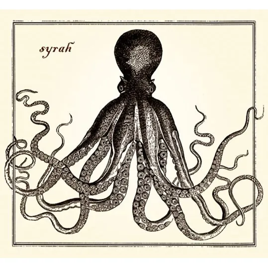 Holus Bolus Syrah Bottle