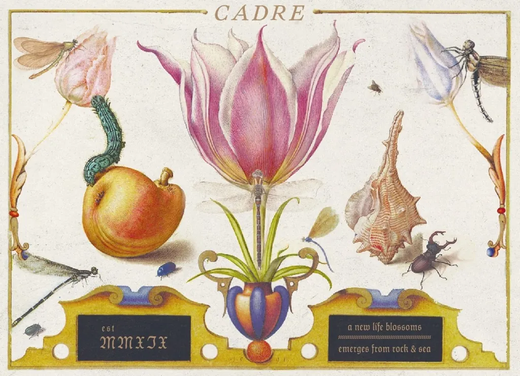 Stone Blossom Sauvignon Blanc Bottle