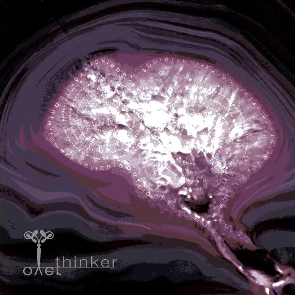 Overthinker Red Blend Bottle