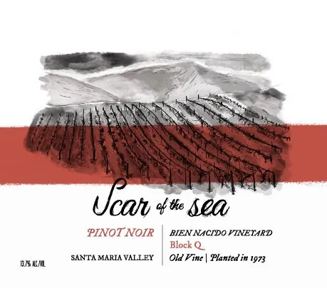 Bien Nacido Vineyard Block Q Pinot Noir Bottle