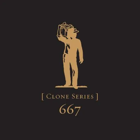 Clone Series 667 Reserve Pinot Noir Bottle