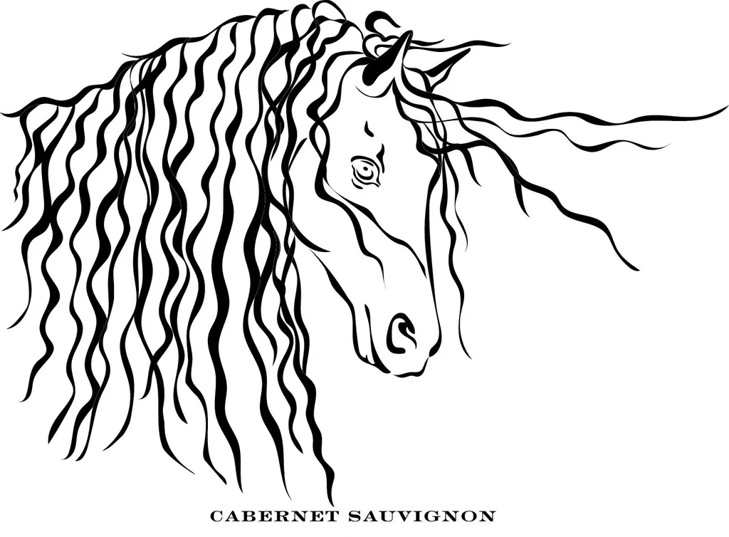Cabernet Sauvignon Bottle