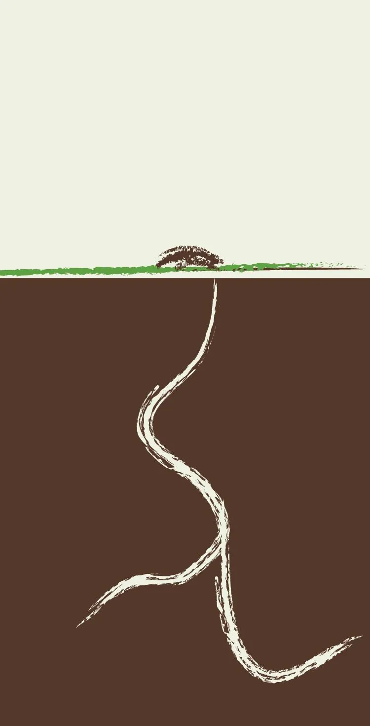 Mole Hill Vineyard Cabernet Sauvignon Bottle