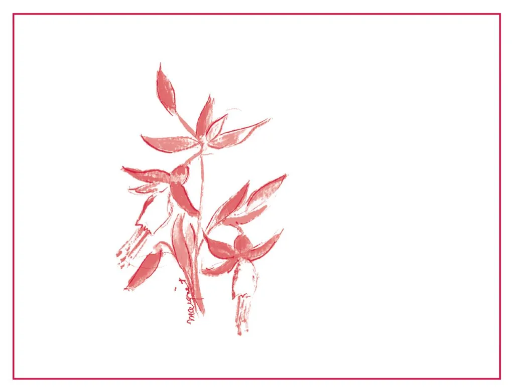 Peter Martin Ray Vineyard Pinot Noir Bottle