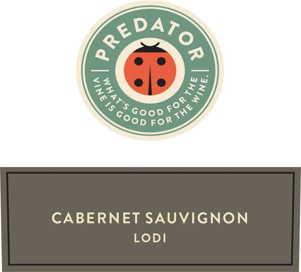 Cabernet Sauvignon Bottle