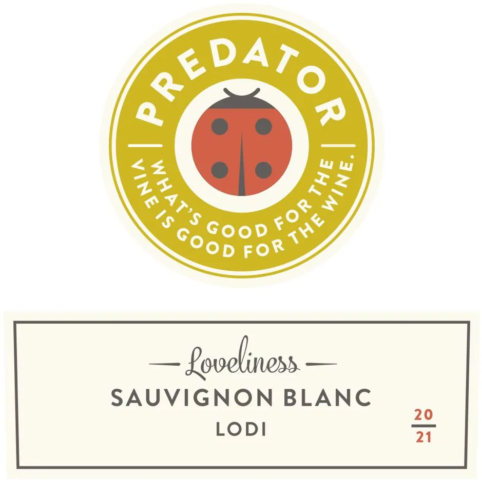 Sauvignon Blanc Bottle