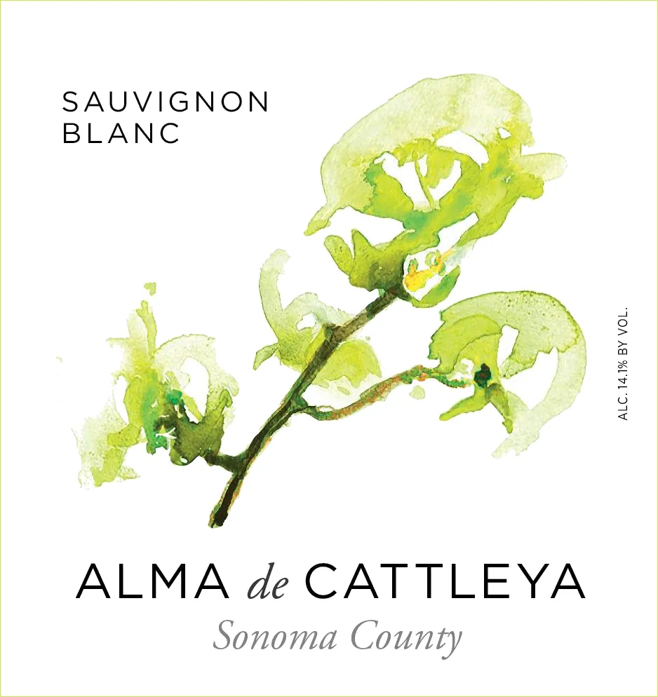 Sauvignon Blanc Bottle