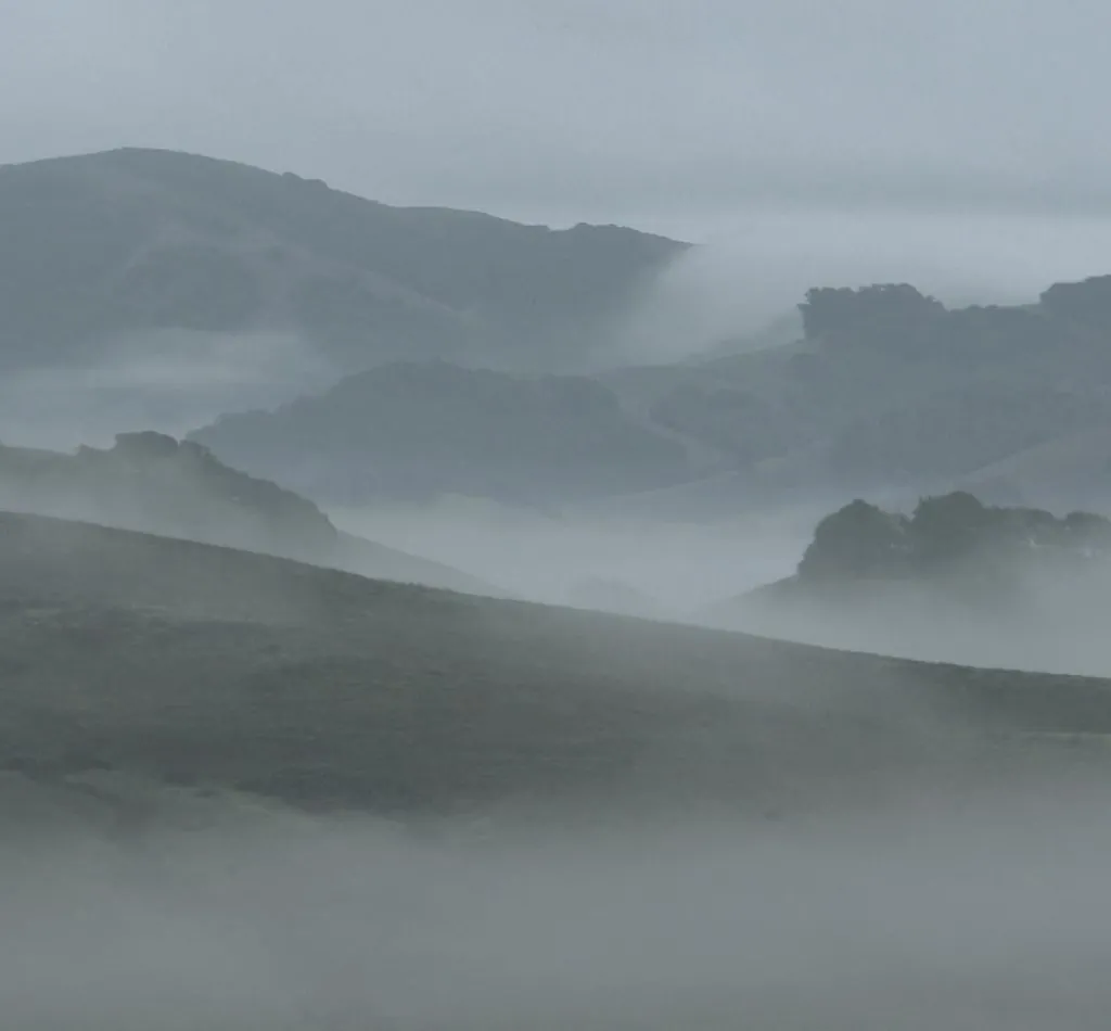 Clary Ranch Syrah Bottle