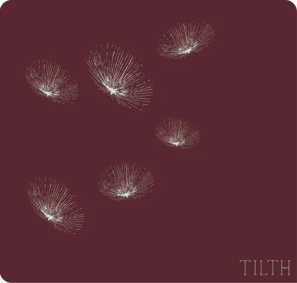 Tilth Pinot Noir Bottle