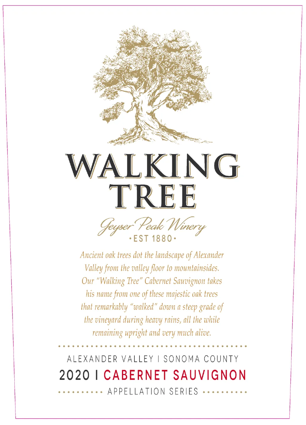 Walking Tree Vineyard Cabernet Sauvignon Bottle