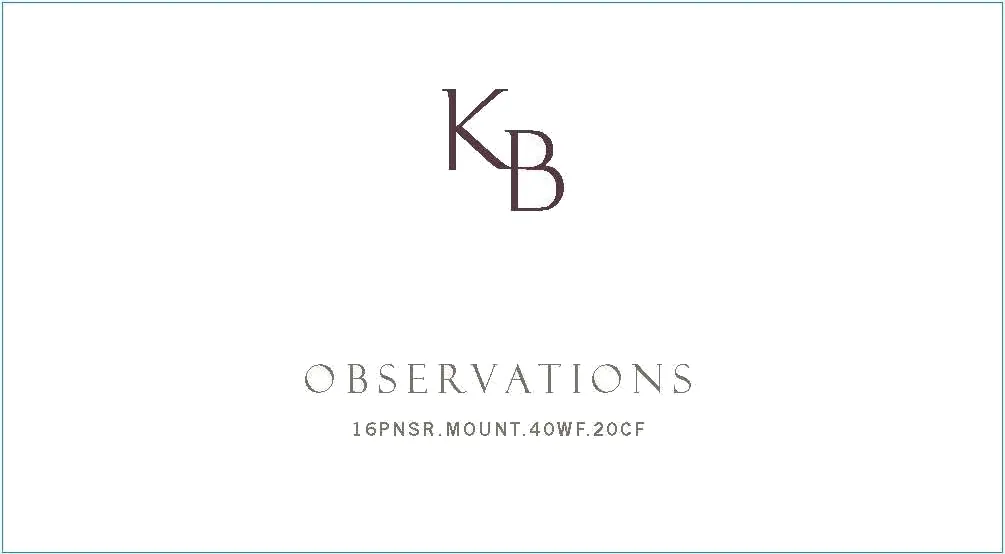 Observations Mt. Carmel Pinot Noir Bottle