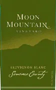 Sauvignon Blanc Bottle