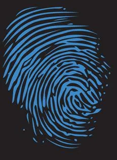 Nugent Vineyard Pinot Noir Bottle