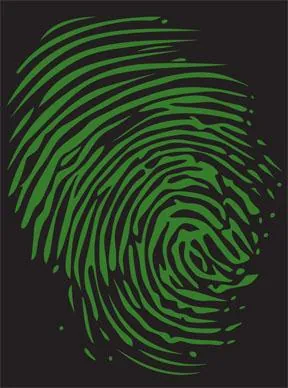 Ramazzotti Vineyard Cabernet Franc Bottle