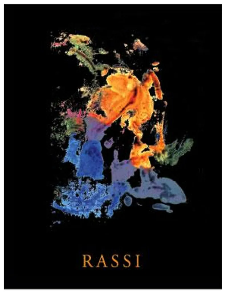 Whitehall Lane Rassi Cabernet Sauvignon Bottle