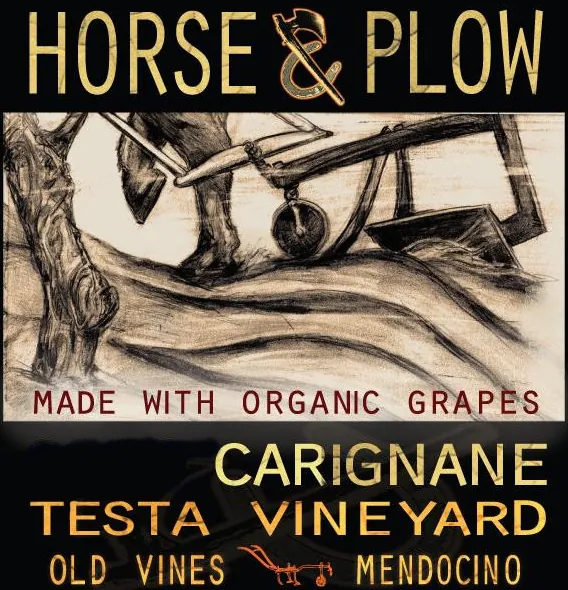 Testa Vineyard Old Vine Carignane Bottle