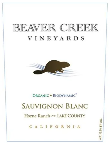 Sauvignon Blanc Bottle
