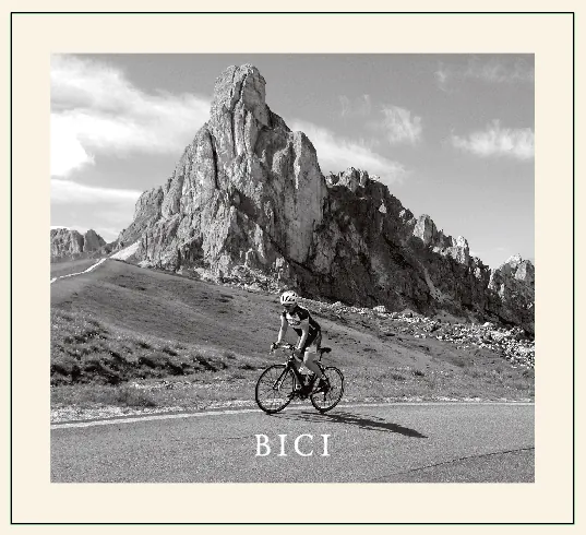 Bici Red Blend Bottle