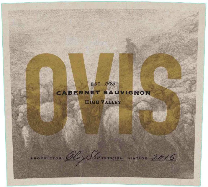 Cabernet Sauvignon Bottle