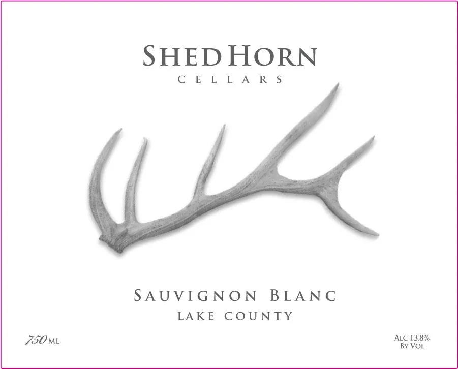 Sauvignon Blanc Bottle