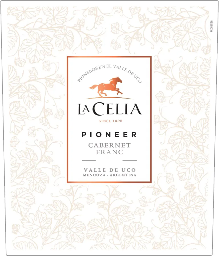 Pioneer Cabernet Franc Bottle