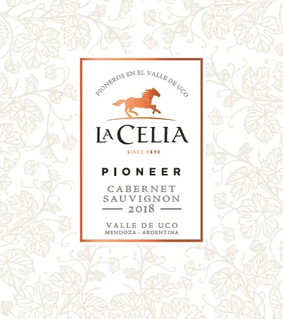 Pioneer Cabernet Sauvignon Bottle