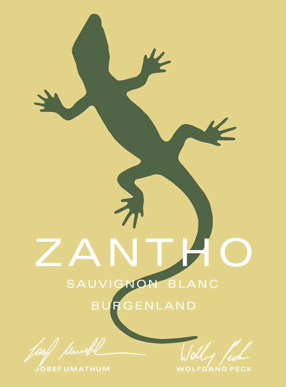 Sauvignon Blanc Bottle