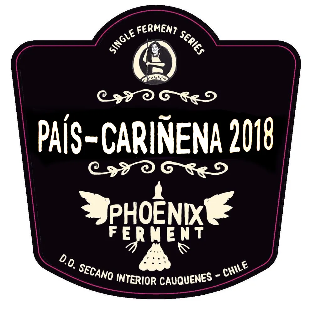 Pais-Carinena Phoenix Ferment Bottle