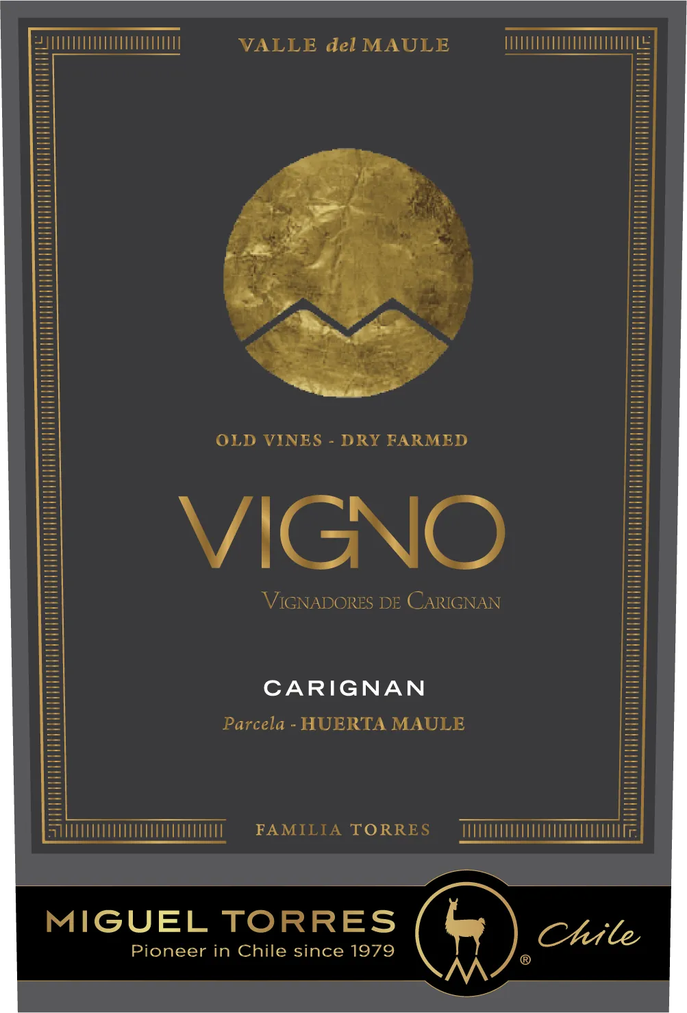 Vigno Carignan Bottle