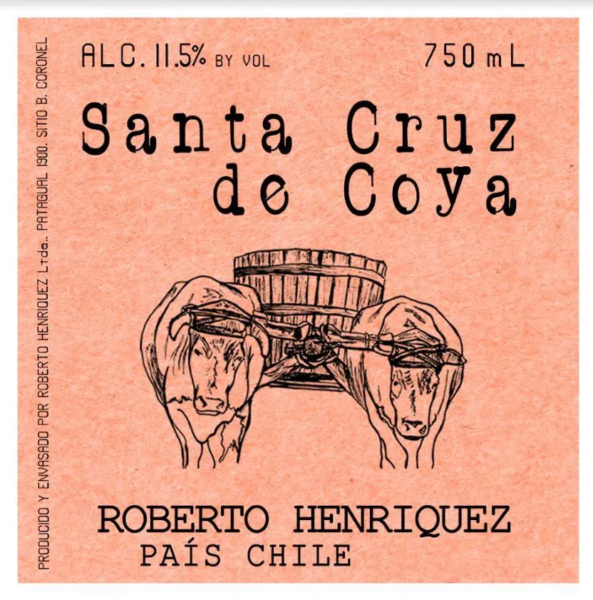 Santa Cruz de Coya Bottle