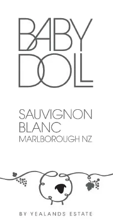 Sauvignon Blanc Bottle