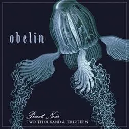 Obelin Pinot Noir Bottle