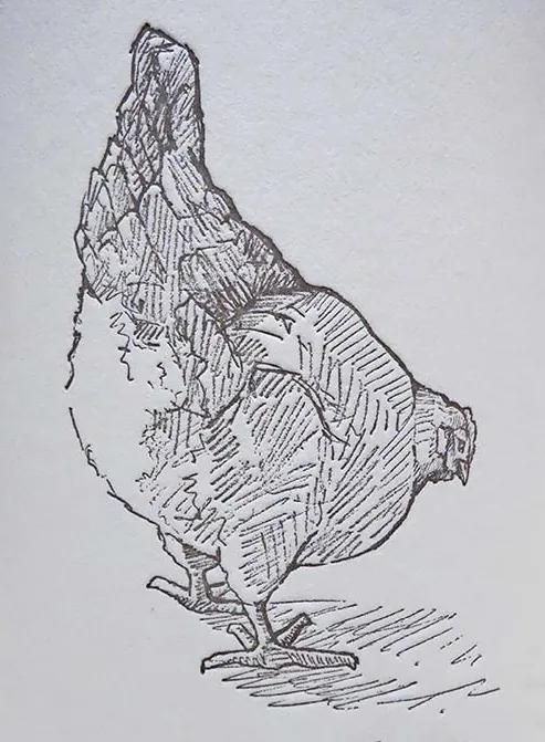 Sunnyside Vineyard Pinot Noir Bottle