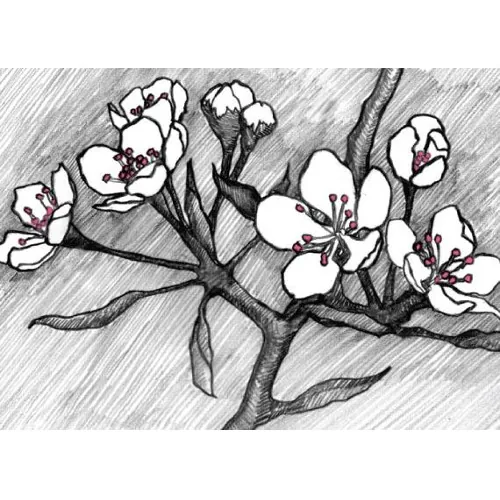 Wirtz Garden Edelzwicker Bottle