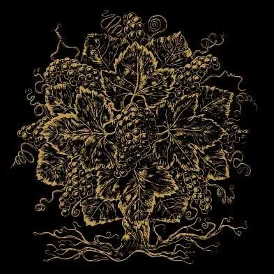 Auric Pinot Noir Bottle