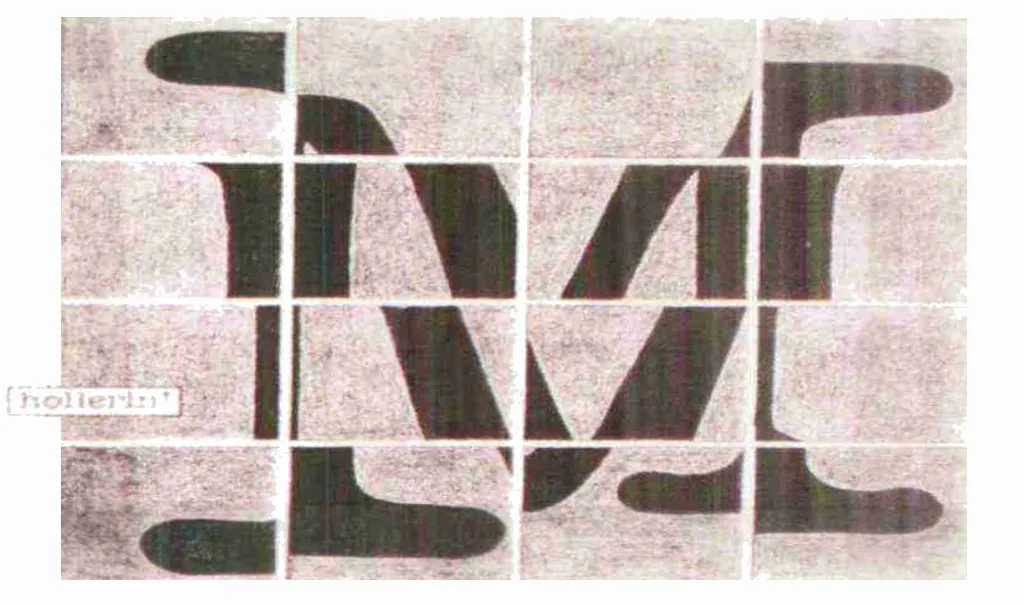 Hollerin M Pinot Noir Bottle