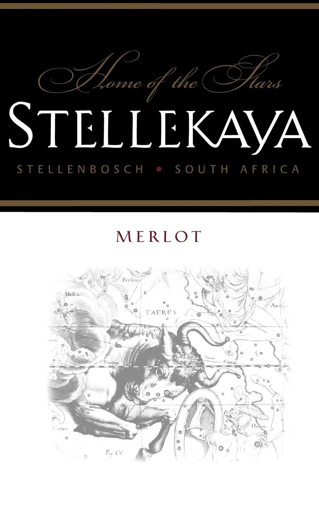 Stellekaya Merlot Bottle